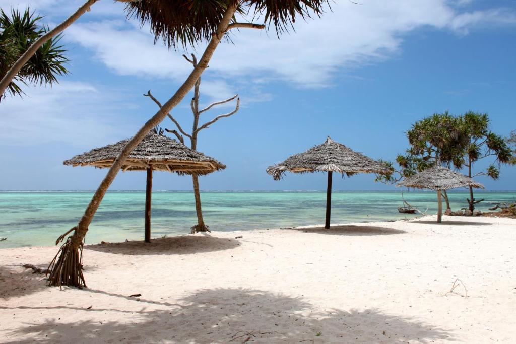 Nest Style Beach Hotel Zanzibar Makunduchi Exterior foto