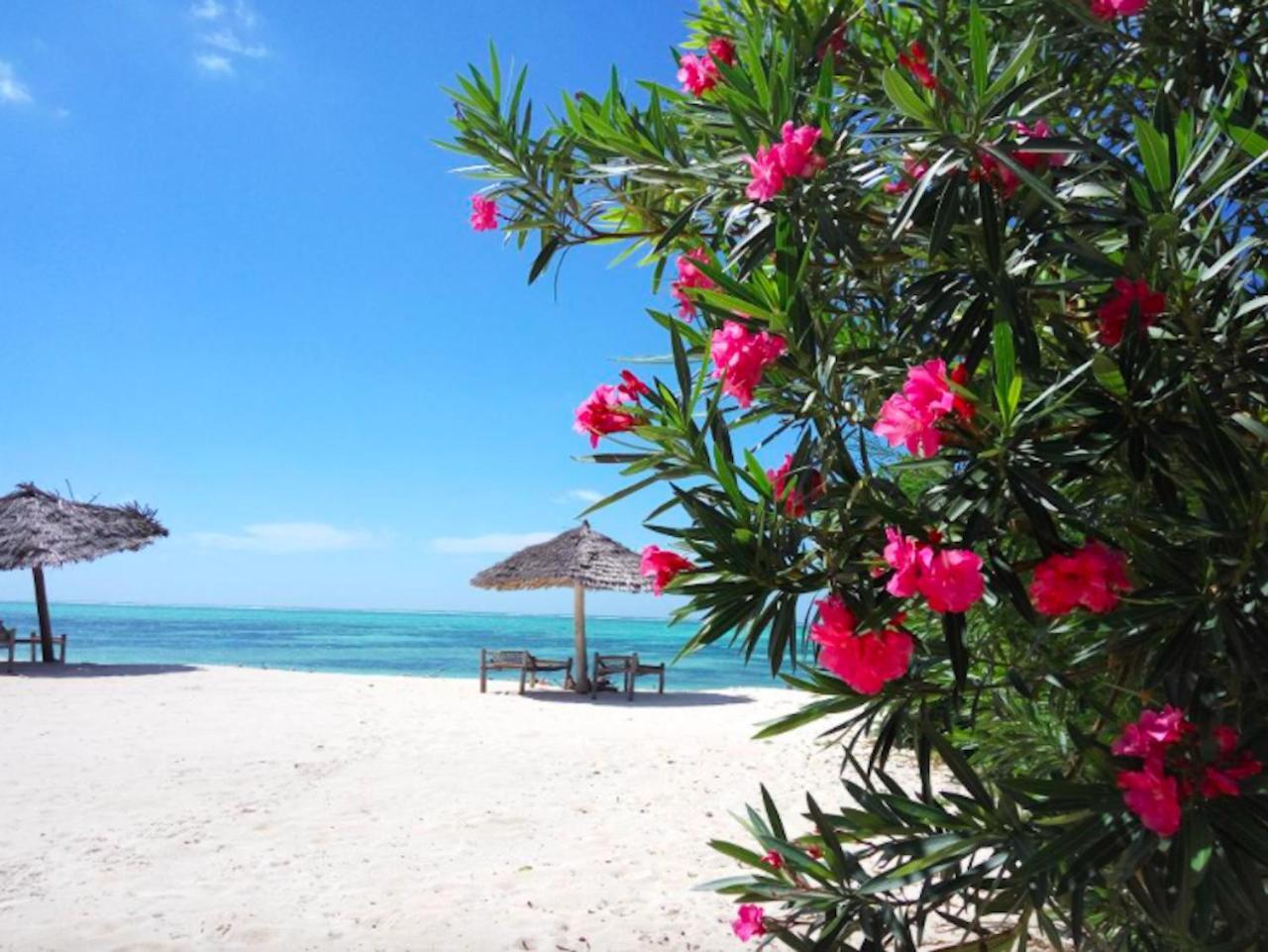 Nest Style Beach Hotel Zanzibar Makunduchi Exterior foto